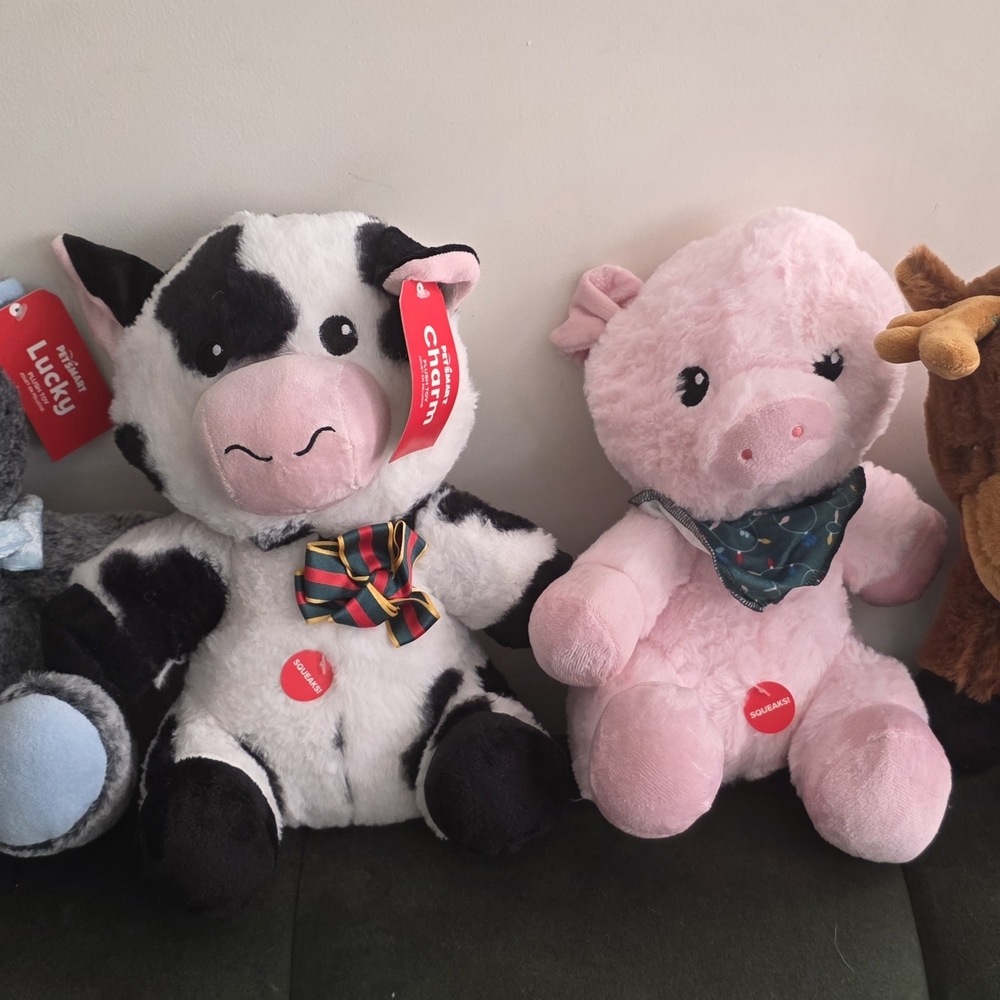 New Petsmart 10" Lg Squeaker Plushes Dog Toys Collection